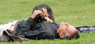little dog I