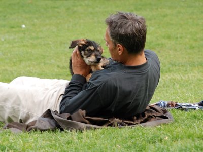 little dog II