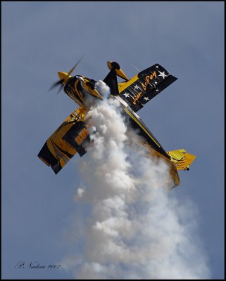 Pitts Bulldog S2S