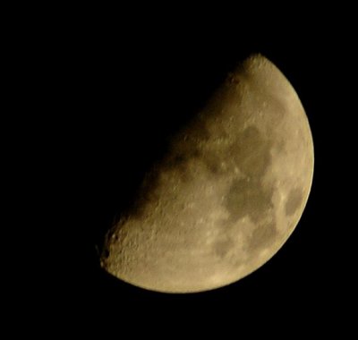 Moon_3506 - Copy.jpg