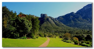 Kirstenbosch  Zuid-Afrika