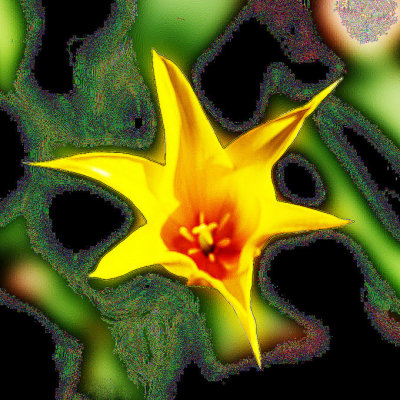 14 Yellow is Cool even Manupulated 3.jpg