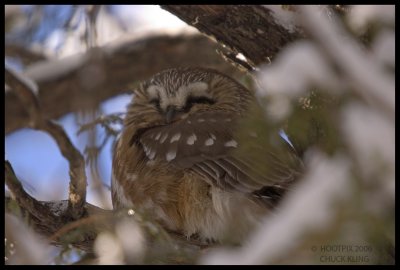 DSC_0117 800.jpg