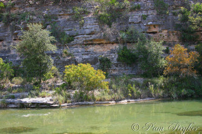 Nueces River In the Hill Country