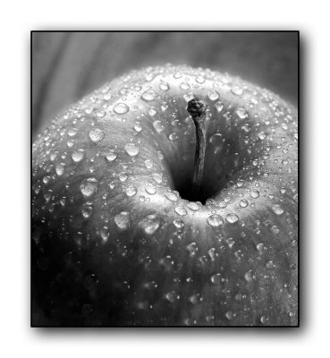 5460 Apple with Dew - PbaseBW.jpg