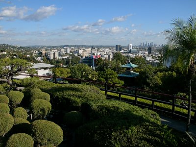 Scenic Gardens View