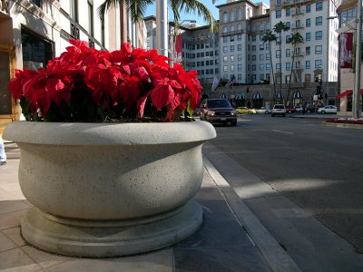 g6/17/102317/3/71854289.nX0tzqpT.jpg