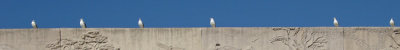 g6/17/102317/3/73090647.3vglHMWs.jpg