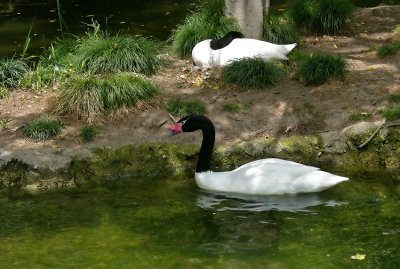 g6/17/102317/3/78022850.MPWmwR7F.jpg