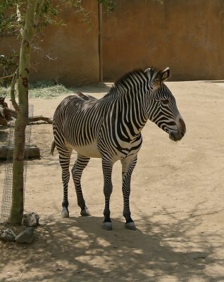 g6/17/102317/3/78022874.36BRAB3n.jpg