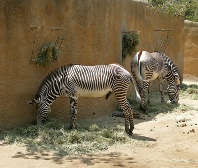 g6/17/102317/3/78022877.H2mtI8CF.jpg