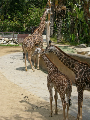 g6/17/102317/3/78022903.M2ylrm8S.jpg