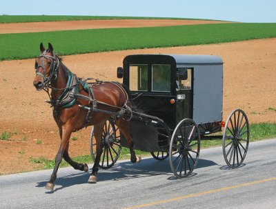 Amish 3