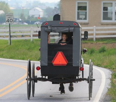 Amish 6