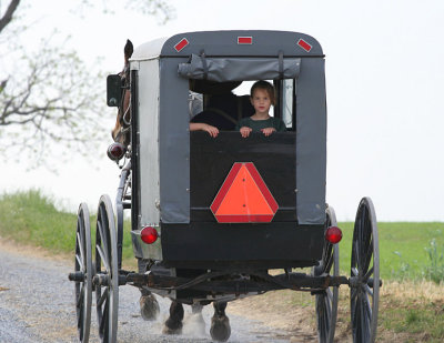 Amish 7