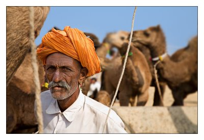 Camel Trader 10