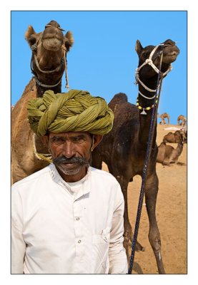Camel Trader 38