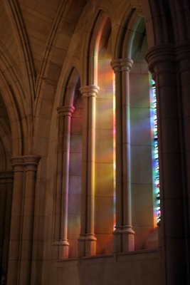 IMG_6417.jpg