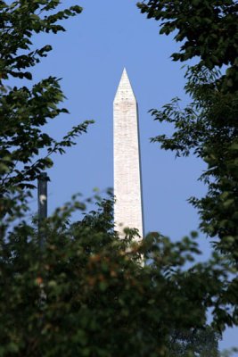 IMG_6458.jpg