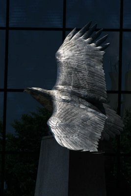 IMG_6941.jpg
