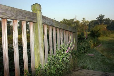 Kenilworth Aquatic Gardens