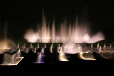 IMG_9300.jpg