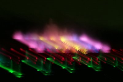 IMG_9305.jpg