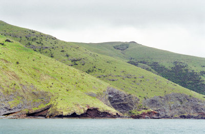 Akaroa Shoreline