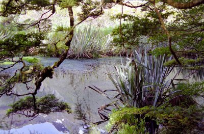 Mirror Lake