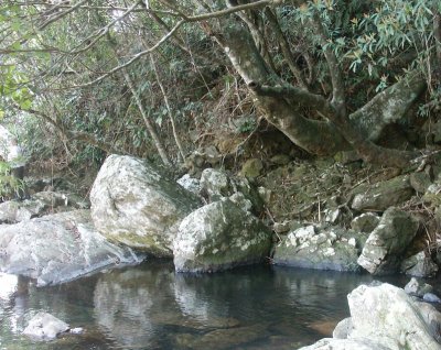 Pool just above the waterfall