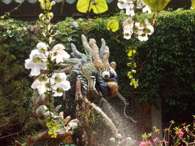 Dragon and decorations