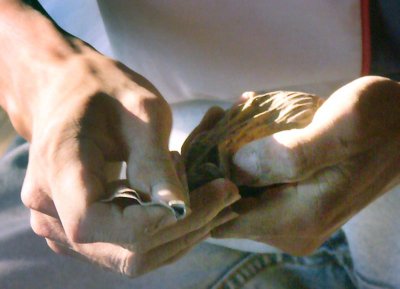 Worker's hands