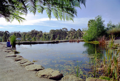 Ornamental Pond