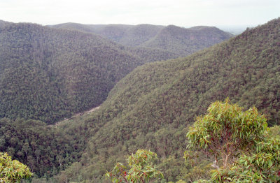 Grose Valley - downstream