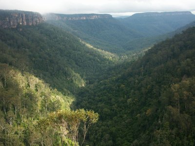 View from lookout near Fitzroy Falls