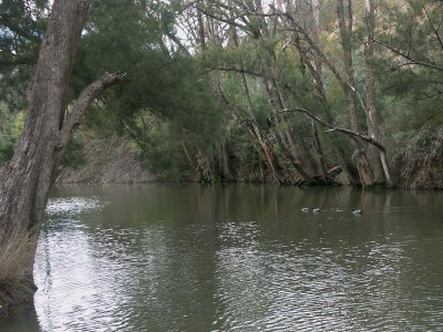 Murrumbidgee River