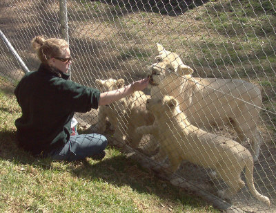 Feeding the White Lions