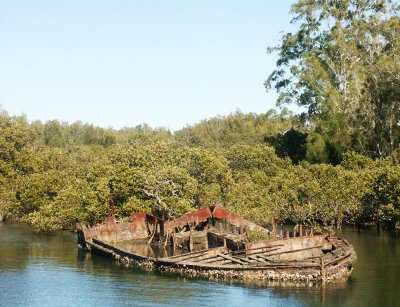 Derelict barge in mangroves