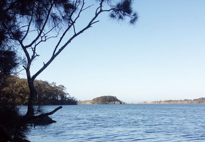 Scenic Forest Walk  Lake Mummuga