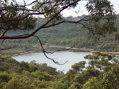 Manly Dam Reserve 