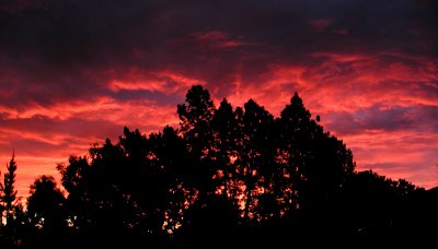 Christmas Sunrise 06 1.jpg