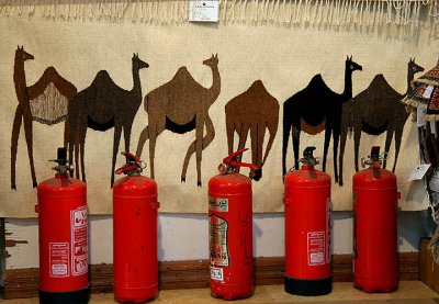 Camels and Fire Extinguishers.jpg