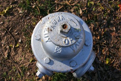 fireplug from the top.jpg
