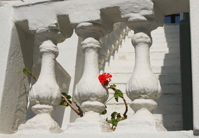 Whitewashed banister and red flower.jpg