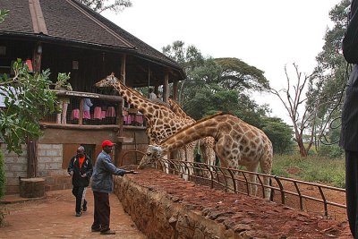 Nairobi - Giraffe Manor and School  Kids - 2007