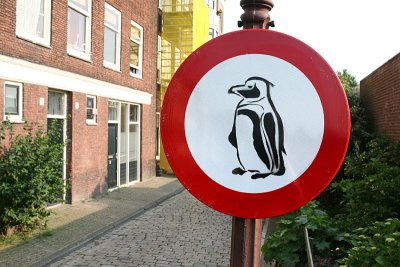 No penguins allowed
