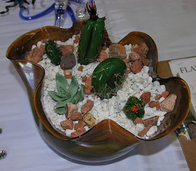 Filip's Cactus Bowl