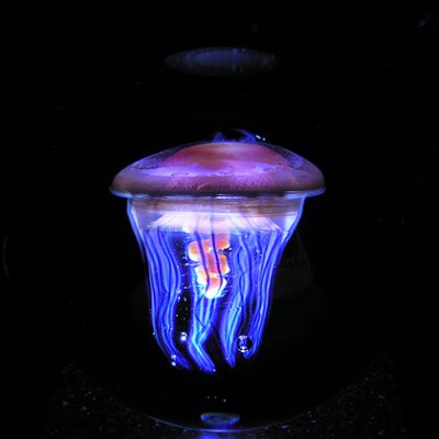 One of James' amazing luminary jellyfish