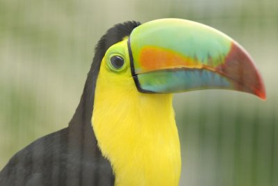 DSC_0040_sm.jpg
