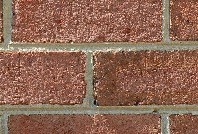 DSC_0035_50_sm.jpg